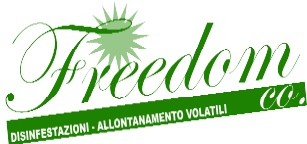 Freedom Co. S.r.l